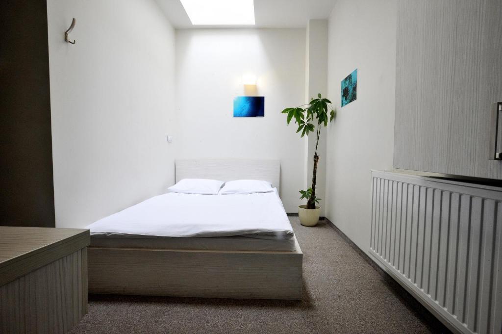 Hostel Promenada Rzeszów Cameră foto